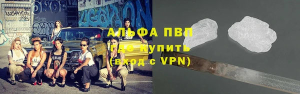 PSILOCYBIN Бронницы