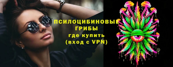 таблы Богородицк