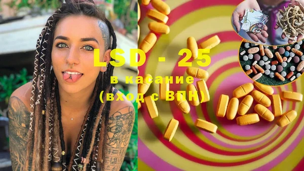 PSILOCYBIN Бронницы