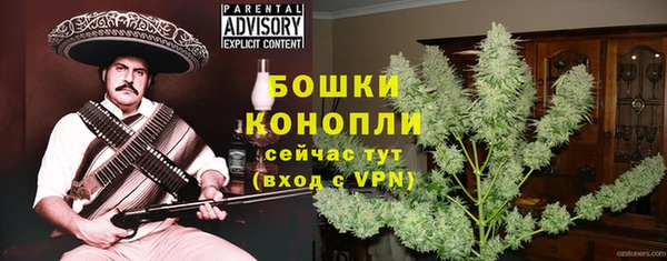 крисы Липки