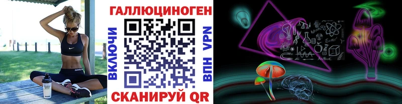 купить наркотик  Гудермес  Псилоцибиновые грибы мицелий 